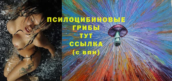 гидропоника Балахна