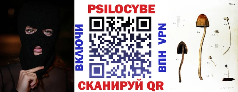 Псилоцибиновые грибы Cubensis  купить наркотики сайты  Светогорск 